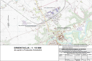 Orientacja dla spinki w Podzamku Golubskim