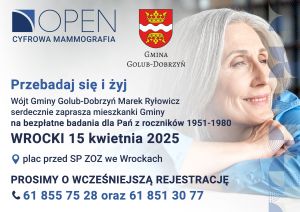 Grafika informacyjna