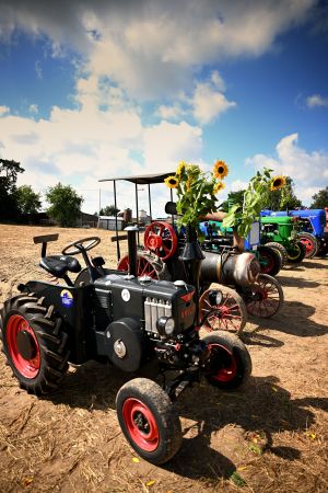 Wystawa Retro Traktor