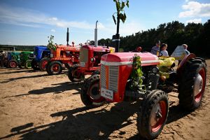 Wystawa Retro Traktor