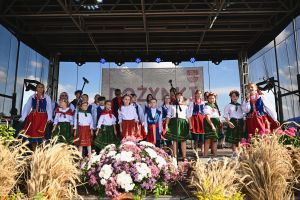 Występ zespołu ludowego