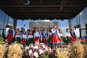 Występ zespołu ludowego