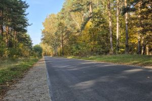 Przebudowa drogi gminnej nr 110222 C w miejscowości Kujawa (Hamer)