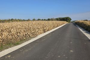 Przebudowa drogi gminnej nr 110247 C w miejscowości Białkowo