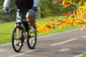 Zdjęcie przedstawiajęce ścieżkę rowerową i rowerzystę