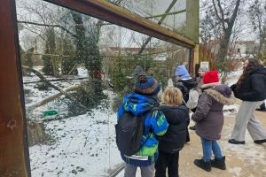 Klub Młodzieżowy Wrocki - wyjazd do ogrodu zoobotanicznego