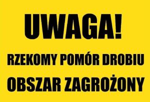 Informacja z napisem "Rzekomy pomór drobiu"