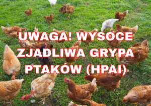 Napis: UWAGA! WYSOCE ZJADLIWA GRYPA PTAKÓW (HPAI)