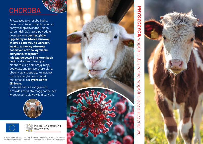 Ulotka informacyjna