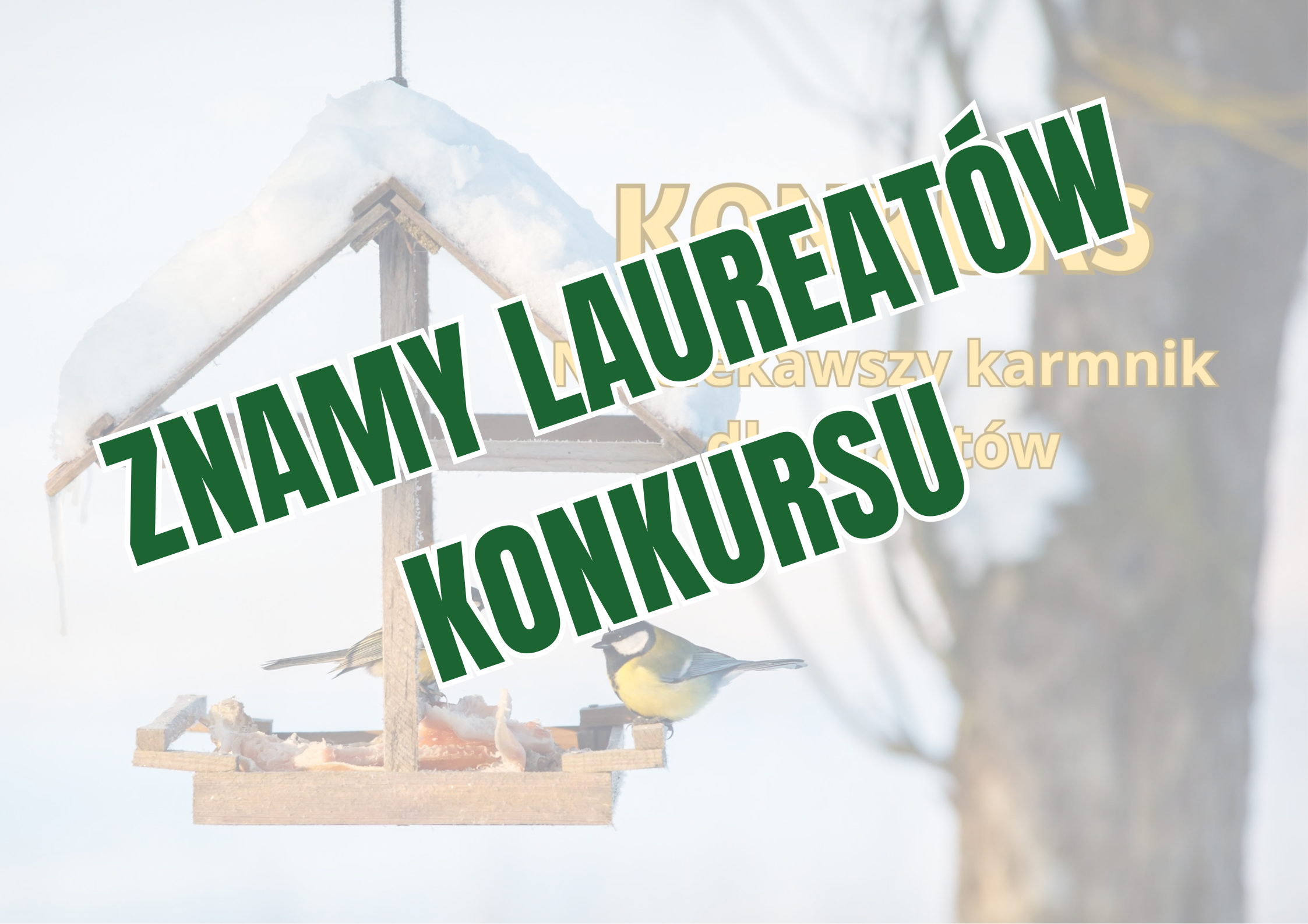 Wyniki konkursu „Najciekawszy karmnik dla ptaków”