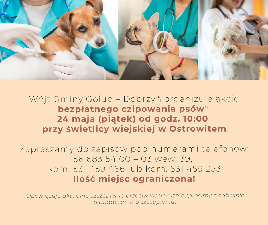 Bezpłatne czipowanie psów - plakat
