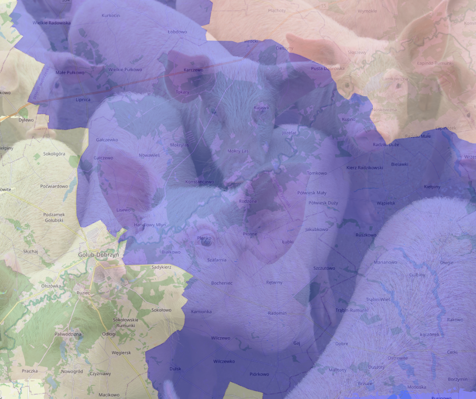 Zasięg obszarów objętych ograniczeniami w związku z występowaniem ASF